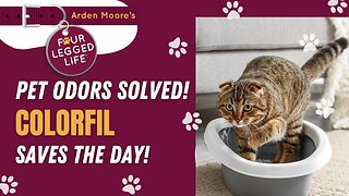 Pet Odors - Solved!