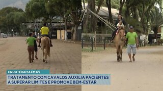 Equoterapia em GV: Tratamento com Cavalos auxilia Pacientes a superar limites e promove bem-estar.