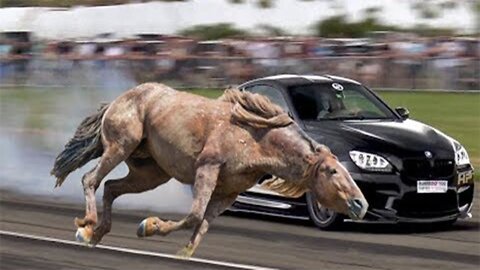 Horses VS. Cars