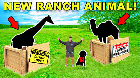 I Rescued a New ANIMAL For my Fishing & Hunting Ranch!