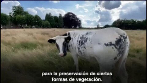 ELES ESTÃO PROCURANDO OS GRANDES USANDO A NARRATIVA DA MUDANÇA CLIMÁTICA.