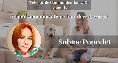 Animal communication - how does it works?