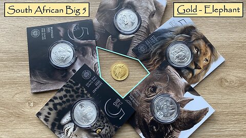 GOLD!!! South Africa Big Five Series Elephant 2022 1oz Gold BU Coin