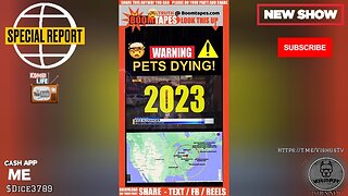 PETS DYING: TOXIC Chemicals & Weapons... #VishusTv 📺