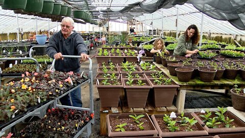 What’s growing inside greenhouses as snow continues to fall?