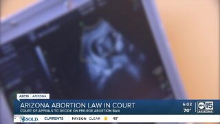 Arizona abortion law in court