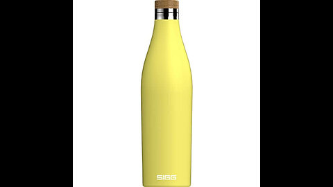 Sigg Classic Thermo 0.3-Liter Water Bottle with Tea Filter