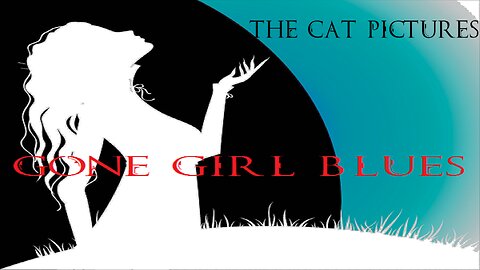 The Cat Pictures (feat. Sean Harper) - Gone Girl Blues