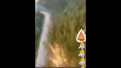 VIDEO EXPOSED HOW WILD FOREST FIRES ARE STARTED🌲🔥✈️🌳🔥💫