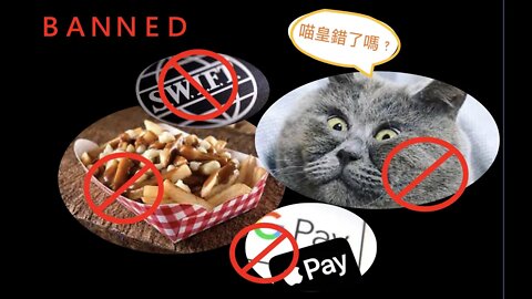 [中文字幕] 抵制俄羅斯清單有貓咪＆加拿大薯條?? Cat and Fries are banned cos Russia?