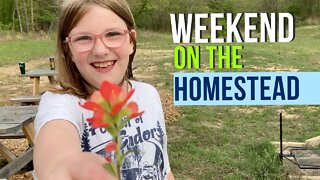 Where the Wind Comes Sweeping Down the Plains | A Weekend on the Homestead VLOG