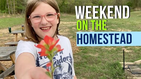 Where the Wind Comes Sweeping Down the Plains | A Weekend on the Homestead VLOG
