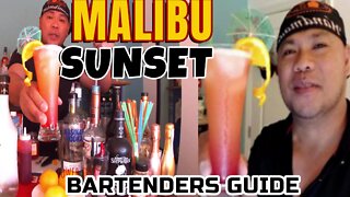 How to make MALIBU SUNSET Cocktail Recipe/History & Tutorial/Best Cocktails/Bartender/Mixology