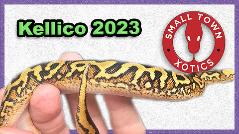 Kellico Update 2023