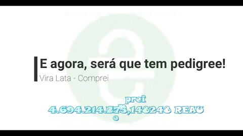 Dica - Fui de onda - Comprei um Vira Lata - 4.694.214.275,148248 $REAU