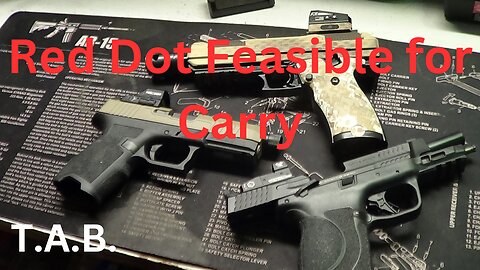 Is Red Dot Feasible for Carry