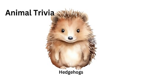 Animal Trivia: Hedgehogs