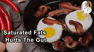 Animal Proteins And Saturated Fats Definitely Cause Dysfunction In The Gut