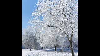 Texas snow 2021