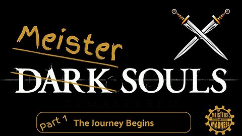 Meister Souls (THE CASUAL GUIDE) Part 1 - The Journey Begins