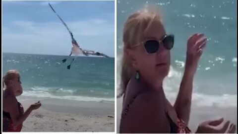 Seagull Steals Snack Out Of Woman's Hand