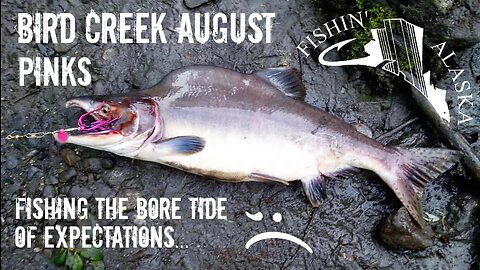 FISHING THE BORE TIDE @ Bird Creek, Alaska ...pinks... #22