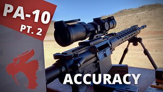 Palmetto PA-10 Gen 3- AR10 Accuracy - SIG MSR 1-10x