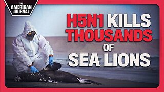 Potential Bioweapon H5-N1 Outbreak Kills Thousands Of Sea Lions In Peru