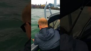 Catching Salmon