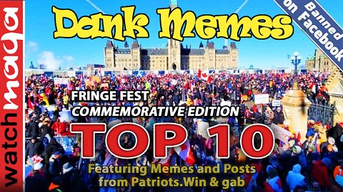 TOP 10 MEMES: Fringe Fest