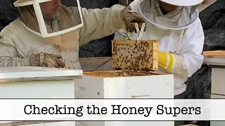 Checking our Honey Supers