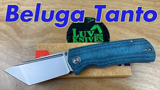 Petrified Fish Beluga Tanto