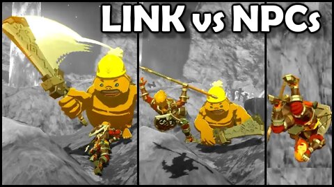 LINK vs GORON, GERUDO, RITO | Breath of the Wild | Zelda BotW | Basement | S3E83