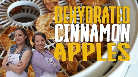 Dehydrated Apple Cinnamon Rings [Apple Chips] - Quick and Healthy Snacks