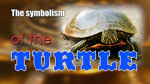 The symbolism of the Turtle