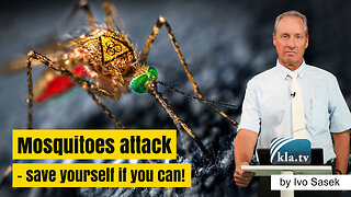 Mosquitoes attack – Save yourself if you can! | www.kla.tv/26600