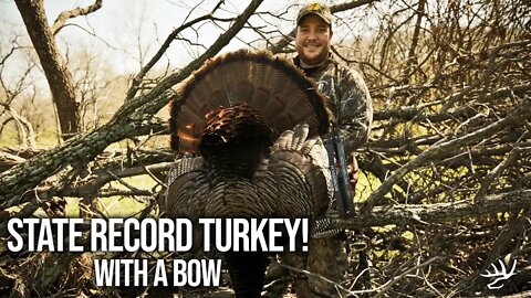 State Record Turkey! Heaviest Bird Ever Shot in Missouri with a Bow.