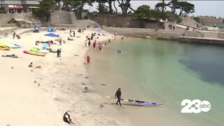 California beach reopens days after shark attack