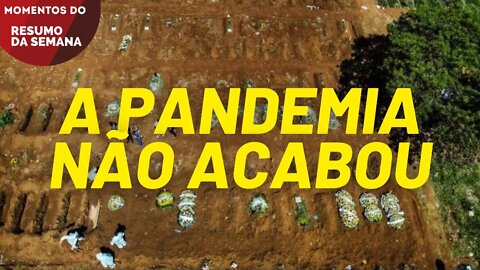 Brasil tem média de 1.105 mortos por dia e se aproxima de 550.000 mortos pela covid-19 | Momentos