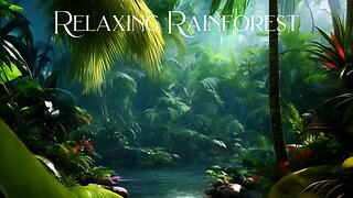 Relaxing Rainforest, Rainforest Sounds, Amazon Rainforest, Jungle Sounds