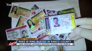 Fake ID ring busted in Pasco County