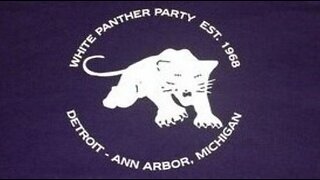 The White Panthers