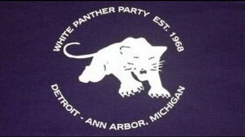 The White Panthers
