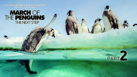 March of the Penguins 2 (2005) Documentary
