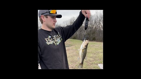 Farm Pond Bass Management