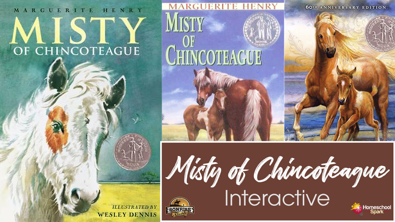 Misty of Chincoteague Interactive Video Course