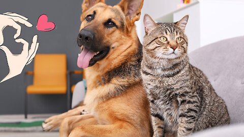 Meeting your best friend.. 😊-- Pets Class Part 83