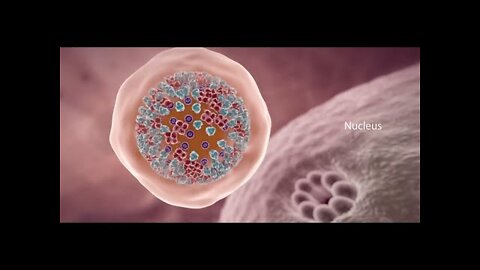 COVID-19 Animation: What Happens If You Get Coronavirus?