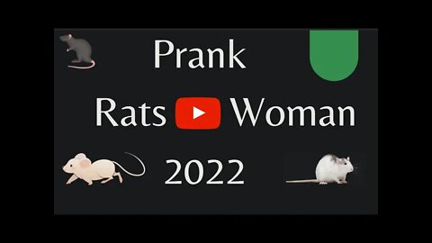 Scary, Rat vs Woman Prank New