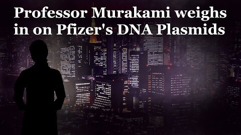 Japanese Professor Murakami weighs in on Pfizer's DNA Plasmids